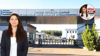 Aksu Yangınının Sessiz Mağdurları: Akdeniz Gerçek Sahada,Aslı Kılıç Anlattı