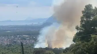 Kepez Santral Mahallesi'nde Orman Yangını