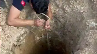 Adana'da Kuyuya Düşen Köpek İtfaiye Tarafından Kurtarıldı