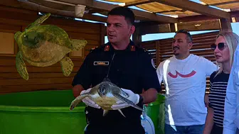 Akdeniz'in Gizli Rotaları Uyduyla Çözülecek