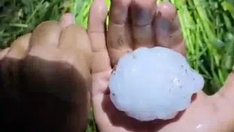 Yüreğir'de Yumruk Büyüklüğünde Dolu Yağışı Tarım Arazilerini Vurdu