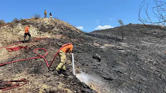 Alanya'da Orman Yangını: 10 Dönüm ve 1 Sera Zarar Gördü