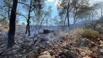 Kemer Çamyuva'da Orman Yangını Çıktı
