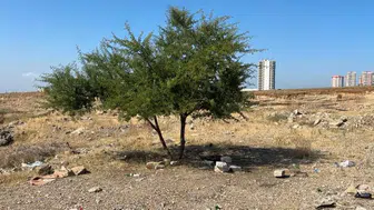 Adana'da Boş Arazide Hareketsiz Yatan 35 Yaşındaki Şahıs Ölü Bulundu
