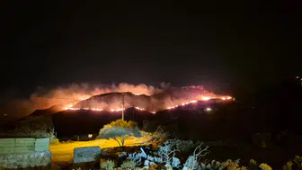 Bodrum'da Gece Yarısı Yangın! Alevler Rüzgârın Etkisiyle Hızla Yayıldı