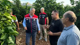 Adana'da Dolu Yağışı Tarım Arazilerini Vurdu: Hasar Tespit Çalışmaları Başlatıldı