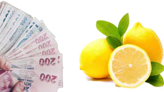 Üreticide 10 Lira, Markette 84 Lira: Limonda Rekor Fiyat Farkı