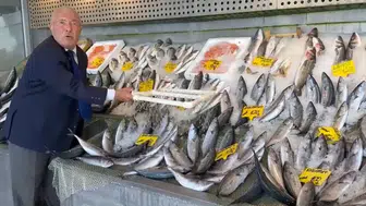 Tezgahlarda Balık Bolluğu Palamut 100, Hamsi 200 TL