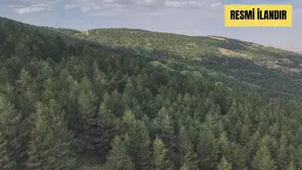 Arazi Hazırlığı Hizmeti Alınacak