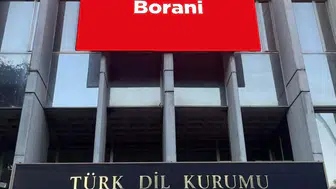 TDK'den Günün Kelimesi: Anadolu'nun Lezzeti Borani