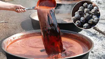 Akseki'de 5 Kilo Kozalaktan Sadece 1 Kilo Çıkarılıyor! Kilosu 500 Lira