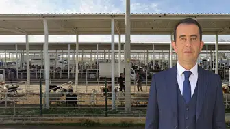 "Antalya’da Şap Aşısı Çalışmaları Sürüyor"