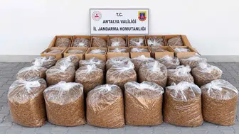 Antalya'nın 2 İlçesinde Dev Operasyon: 1 Ton Kaçak Tütün Yakalandı