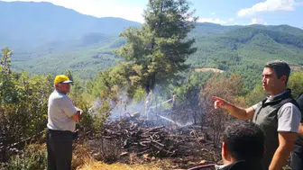 Burdur'da Orman Yangını: Ekiplerin Müdahalesiyle Söndürüldü