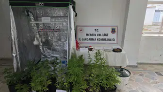 Mersin'de Uyuşturucu Operasyonu: Evin İçinde Gizli Kenevir Serası Çıktı