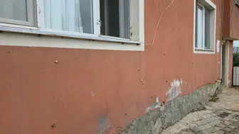 Sebze Yiyemez Hale Geldiler: Hatay'da Salyangoz İstilası