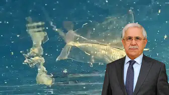 Antalya'nın Mavi Bayraklı Kıyılarında Alarm!