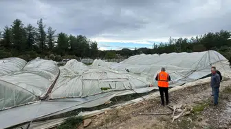 Antalya'da Yağıştan 381 Dekar Tarım Alanı ve 10 Bin Metrekarelik Sera Hasar Gördü