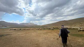 Toroslar'da Asırlık Göç Başladı: Yörüklerin 10 Günlük Zorlu Yolculuğu