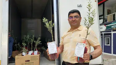 Bucak'ta Belde Başkanı 5 Bin Zeytin Dağıttı, Oğlunun Düğününe Davet Etti
