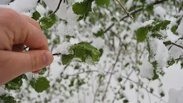 Burdur İçin Kritik Uyarı: Zirai Don Tehlikesine Karşı "Tedbir" Çağrısı
