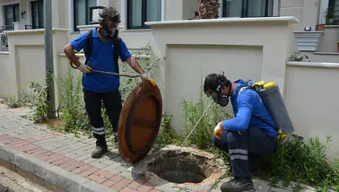 Antalya'da Sineklerle Balıklı Mücadele: Doğal Kalkan!
