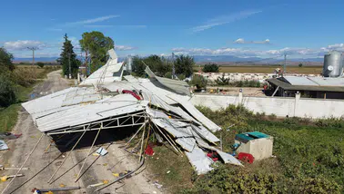 İmamoğlu’nda Süper Hücre Felaketi: 20 Bin Civciv Telef Oldu, Muz Seraları Yıkıldı