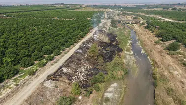 Adana'da Deliçay Deresi Çöplüğe Döndü: Üreticilerden Tepki
