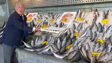Tezgahlarda Balık Bolluğu Palamut 100, Hamsi 200 TL