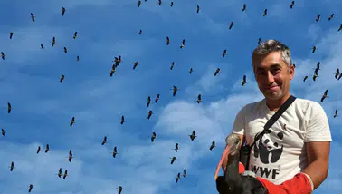 Göçmen Kuşları Tehdit Eden Elektrik Hatlarına Acil Müdahale Çağrısı