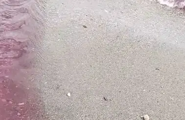 Alanya'da Korkutan Görüntü: Dere Kıpkırmızı Akmaya Başladı!