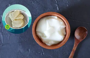 Lezzet Mirası Tescillenecek! Elmalı Kış Yoğurdu Başvurusu Tamam