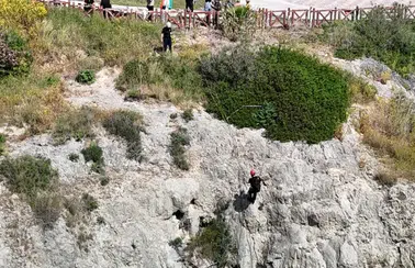 Kedinin Peşinden Giden Köpek Falezlerden Düştü! Film Gibi Operasyonla Kurtarıldı