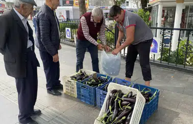 Serik’te Bir Üretici İsraf Olmasın Diye Patlıcanlarını Dağıttı