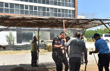 Antalya'da Korkulan Olmadı: Halk Sağlığını Tehdit Edenlere Ceza!