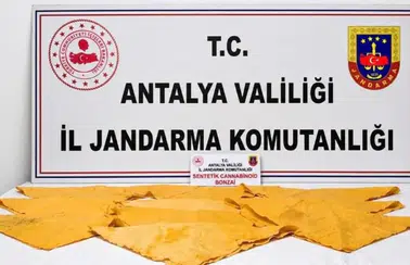 Alanya'da Jandarma Affetmedi! 24 Bin Kişiyi Zehirleyeceklerdi