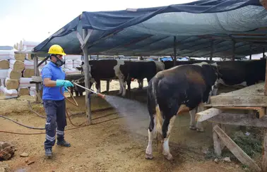 Antalya Büyükşehir Bayram Hazırlıklarını Tamamladı