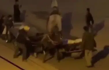 Adana’da Vicdanları Sızlatan Görüntüler: Atlar Dakikalarca Kırbaçlandı!