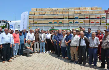 Korkuteli'de Yüzlerce Arı Kovanı Toprakla Buluşuyor
