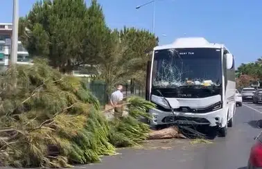 Alanya’da tur midibüsü dehşeti! Refüjü aşıp karşı şeride geçti!