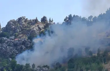 Alanya'da Zirai Yangın: Kiraz ve Zeytin Bahçeleri Kül Oldu