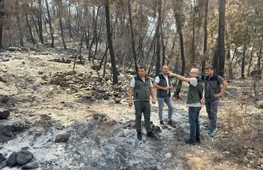 Kumluca'daki Yangın Bölgesinde Üst Düzey İnceleme!