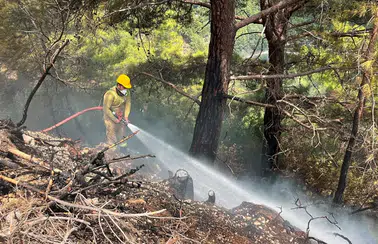 Alanya’da Orman Yangını Paniği! Alevler Büyümeden Söndürüldü