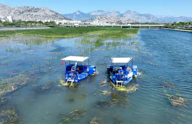 Boğaçayı'nda "Caretta" ve "Mavi Yengeç" Mesaisi