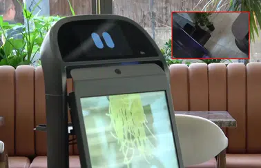 Servis Robotu 'Gayretli' Merdivenden Düştü! Yönetim 3 Gün Kafa İzni Verdi