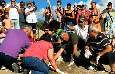 Çıralı'da Son Caretta Yuvası Minik Azem Anısına Açıldı