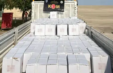 Antalya'da 4 İlçede Şafak Baskınları: Depolardan Çıkanlar Şaşkınlık Yarattı