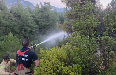 Hatay'da korkutan yangın! Erken müdahale faciayı önledi