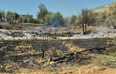 Manavgat Karakaya'da Yangın: 100 Zeytin Ağacı Zarar Gördü