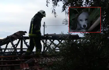 Manavgat Taşağıl’da Benzinle Tutuşturulan Şömine Evi Kül Etti: 1 Yaralı